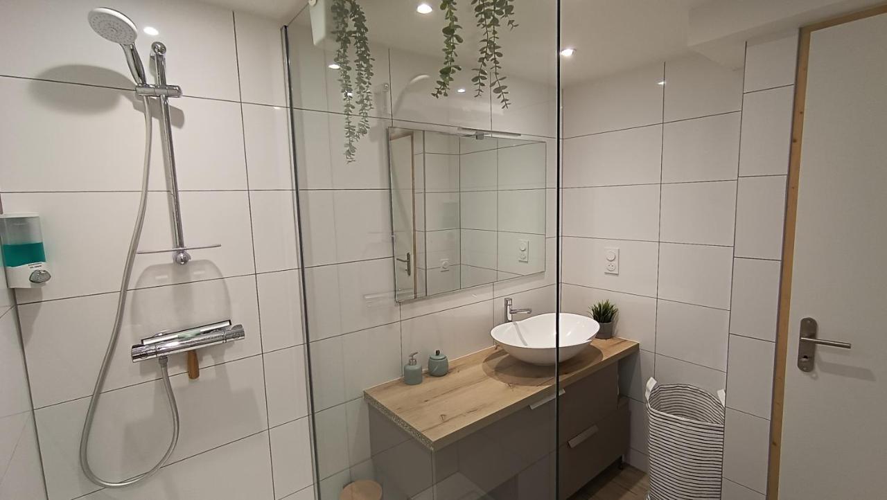 Ferienwohnung Refuge Des Myosotis - Proche Chambery - Jardin - Calme - Cosy Barberaz Exterior foto